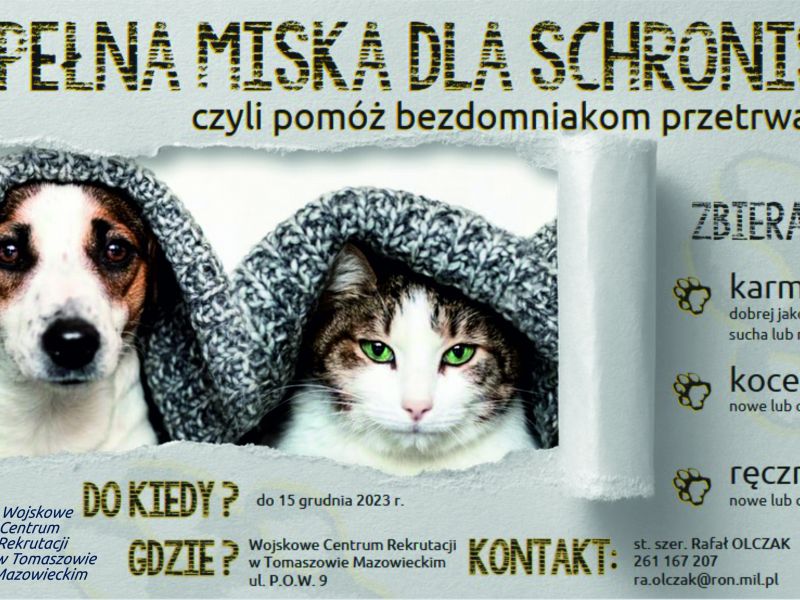 Na zdjęciu plakat akcji pomocy bezdomnym psom i kotom. Na plakacie kot i pies przykryte kocami